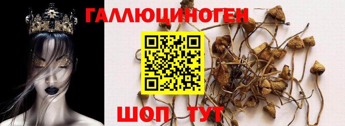 Шали  Псилоцибиновые грибы мицелий  Вход с VPN 